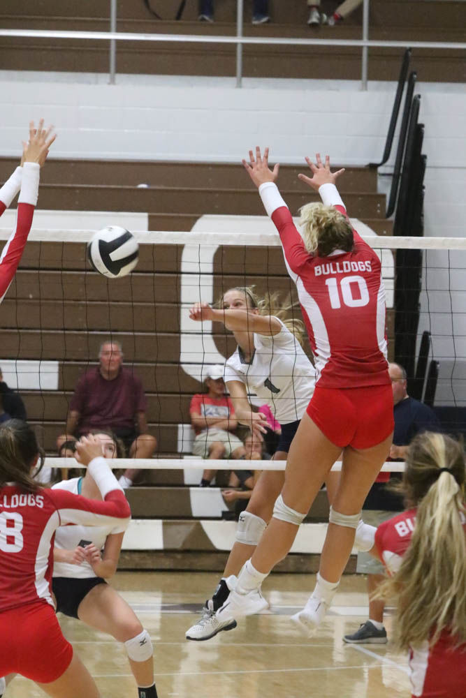 Gallery: Girls volleyball - Crown Point at Michigan City